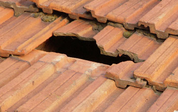 roof repair Wainford, Norfolk